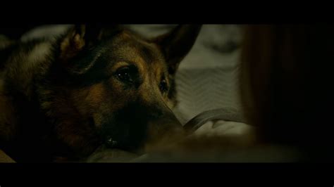 Megan Leavey - Trailer - Own it on Digital HD 8/22 on Blu-ray & DVD 9/5 ...