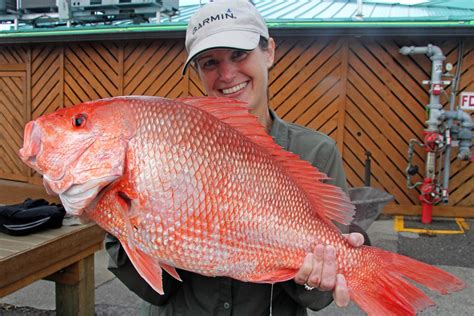 Red Snapper | NOAA Fisheries