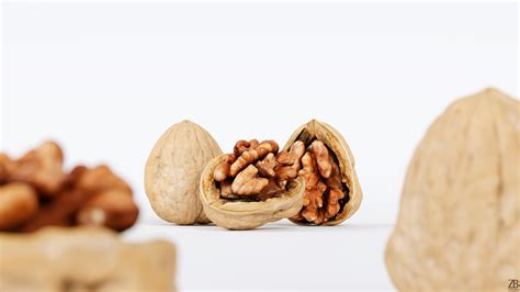 nut  grammetry  behance