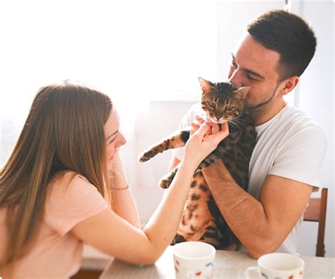Zoetis Animal Health - Global Animal Health Company | Zoetis