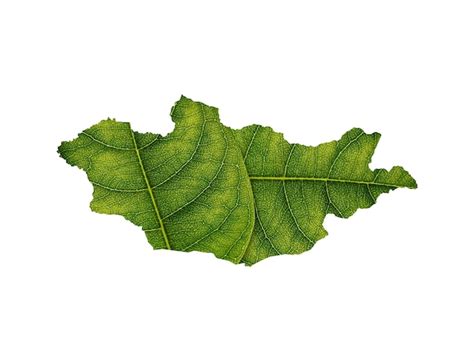 Premium Photo | Mongolia map made of green leaves on soil background ...