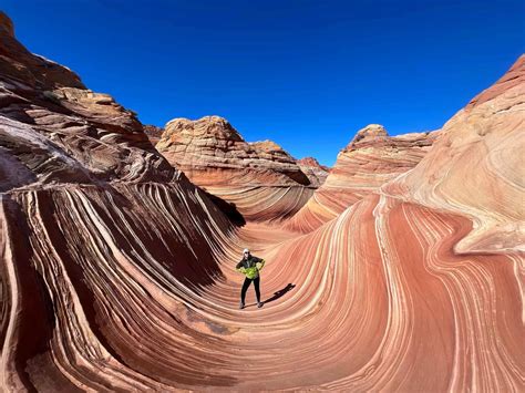 wave zion national park info   wave coyote buttes north