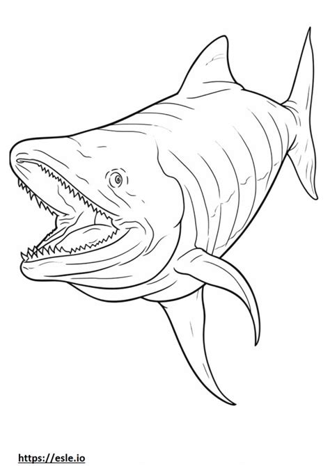 Megamouth Shark coloring pages - free printable