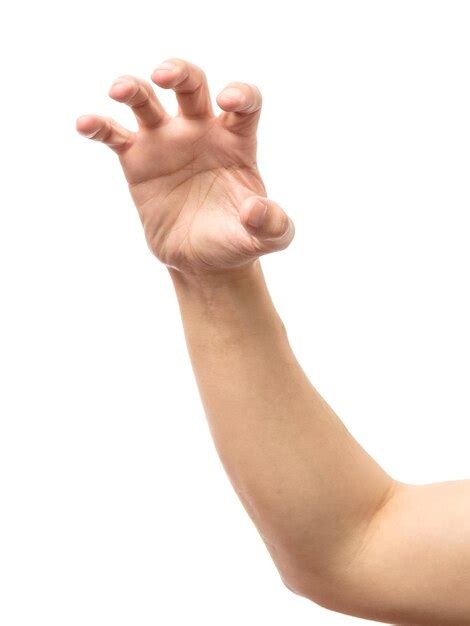 premium photo man hand isolated hold grab  catch