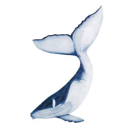 Humpback Whale - Beatrice Forshall