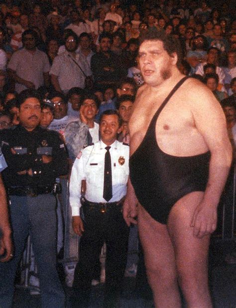 The History of Andre The Giant in WWF. BO – The Wrestling Elite