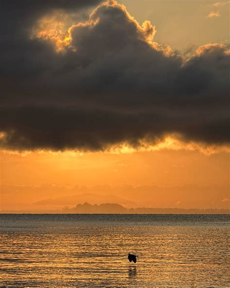 Nithima Attasophonwatthana