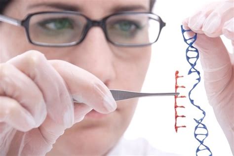 Biotecnologia E Engenharia Genética - Engenharia Genética - Biologia - InfoEscola
