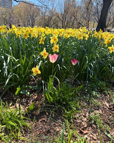 All Things BadassMommy added a... - All Things BadassMommy