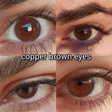 pin     brown eyes aesthetic aesthetic