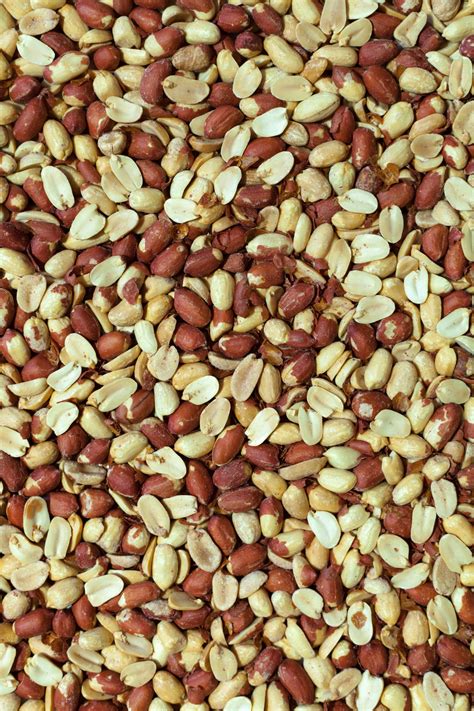 Peanuts Free Stock Photo - Public Domain Pictures