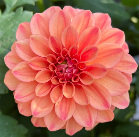 We explain the heritage of the Leonard Funeral Home Dubuque site 19