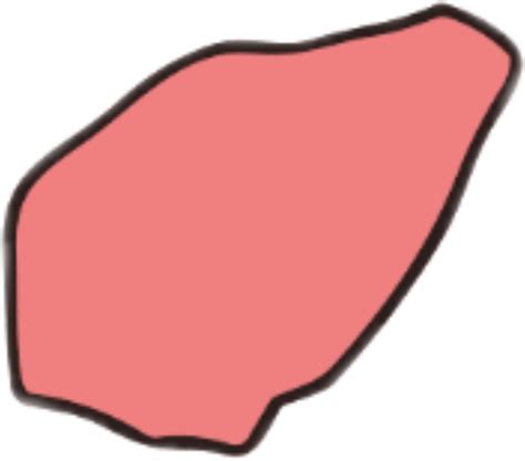 Integrated Human Practices | UM-Macau - iGEM 2023