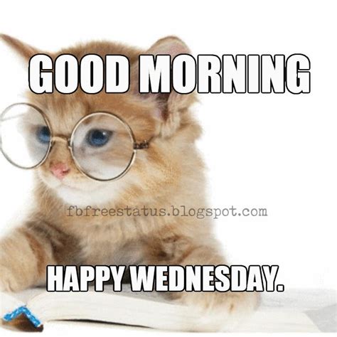 funny wednesday meme images pictures
