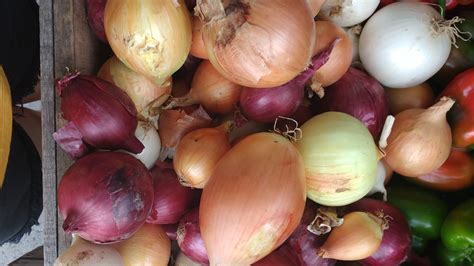 IMG_20160914_172420837 - Allergic To Salad