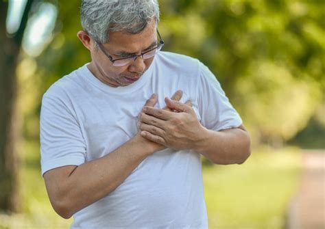 echo jantung  pilihan