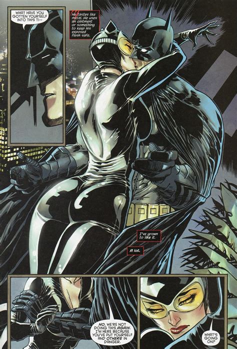 Catwoman and Batman hookup in New 52 Catwoman | Catwoman comic, Batman