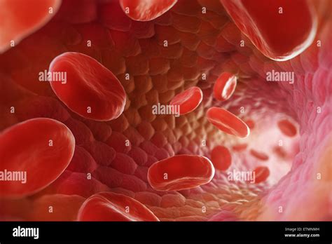 blood high resolution stock photography  images alamy