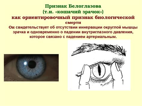 Смерть и процесс умирания. (Лекция 3) - презентация онлайн