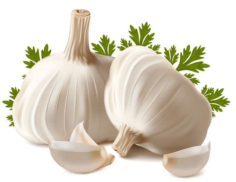 Health Benefits of Garlic