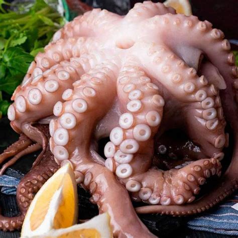 Щупальца молодого осьминога Дофлейна - Красная икра в Омске