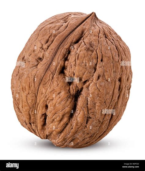walnut  isolated  white background clipping path full depth