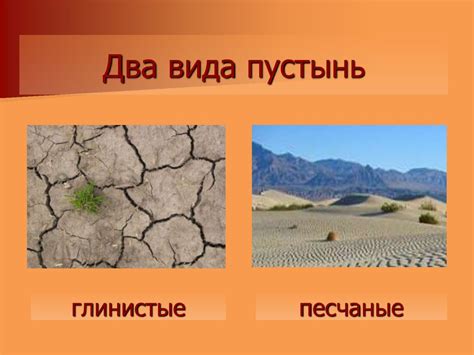 Зона пустынь - презентация онлайн