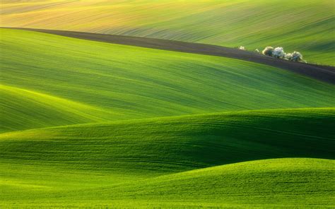 moravia | I Like To Waste My Time