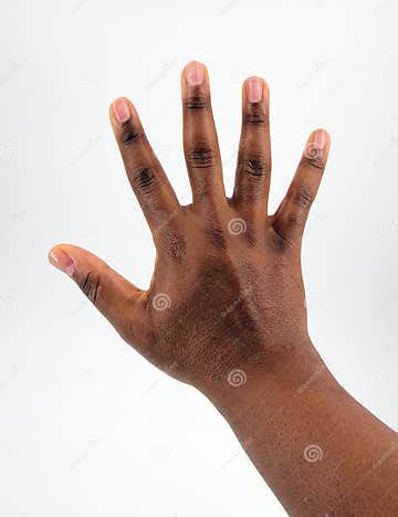 brown skin hand stock image image  skin brown african