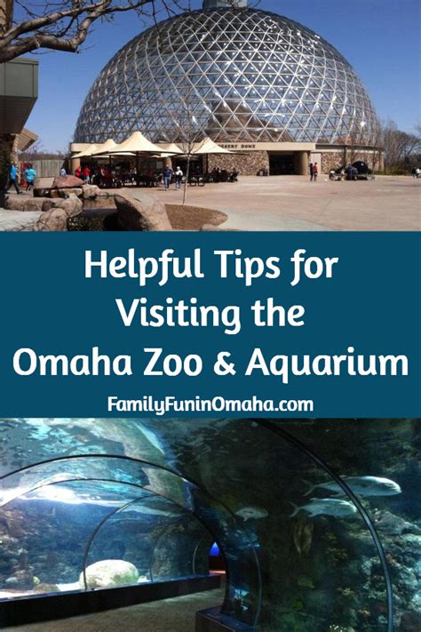 Tips for Visiting the Omaha Zoo | Family Fun in Omaha