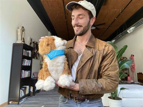 Joy for All Dog Review | The Senior List