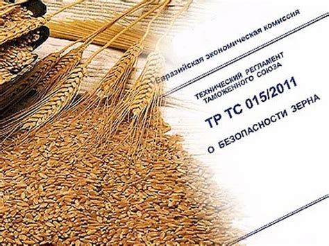 ТР ТС 015 2011 "О безопасности зерна" - декларирование зерна