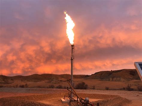 zeeco resources technical papers flares