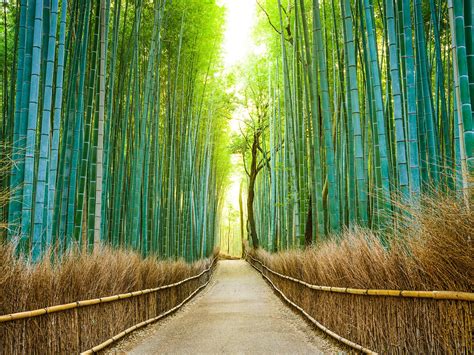 25 Most Beautiful Places in Japan - Photos - Condé Nast Traveler