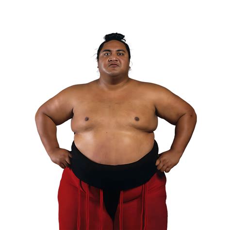 yokozuna  frostofficialtv  deviantart