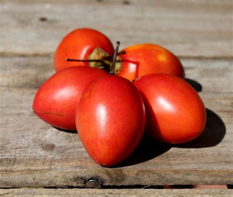 Sintético 99+ Foto Tomate De Arbol En Mexico Cual Es Cena Hermosa