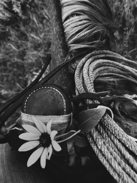 BreAnne Benson (@bre.seri) • Instagram photos and videos