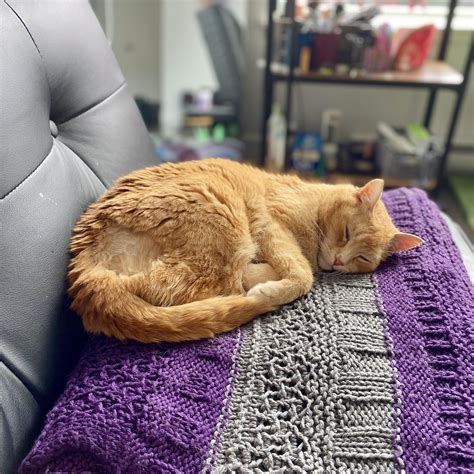 So, I adopted my first cat😸 He’s a senior with arthritis, kidney