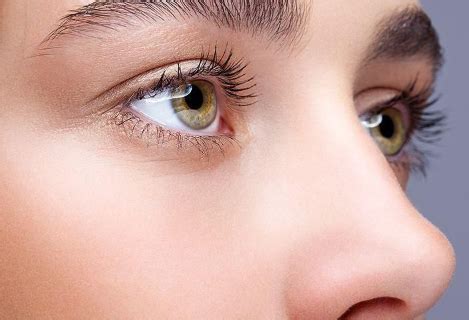 fungsi bintik kuning  anatomi mata manusia