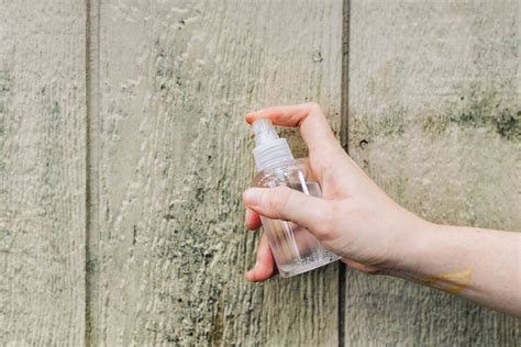 how to clean black mold off wood