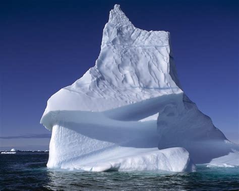violetas: ICEBERG