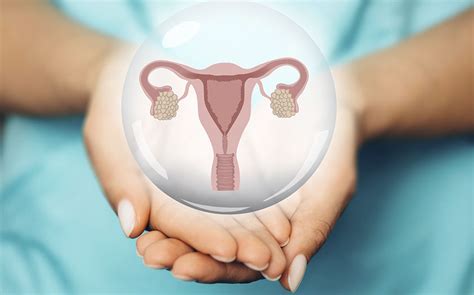 Ovarios: Anatomía, Dónde Están y Partes | AECC