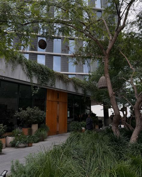 Vanessa DeCesare | what I been on | Instagram