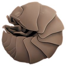 Keka for Mac - Download