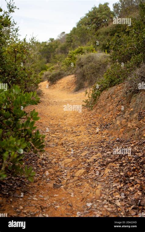 Hiking trail on Angel Island State Park, California Stock Photo - Alamy