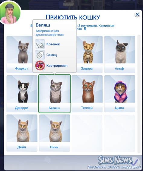Как завести питомца в Симс 4 Кошки и собаки?