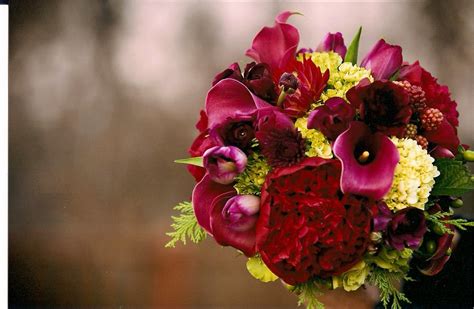 Molly's Blog: Red and green flowers