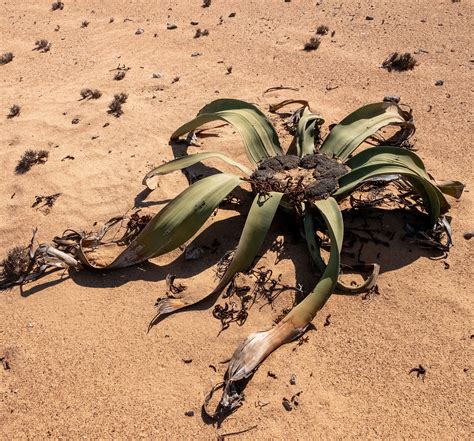 Tailor-made Itineraries - Secret Angola