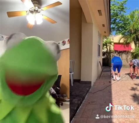 Pin on Donald Duck/Kermit