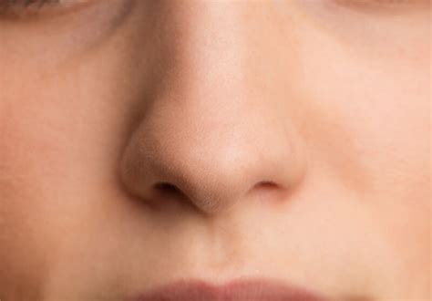 Nose - Pictures